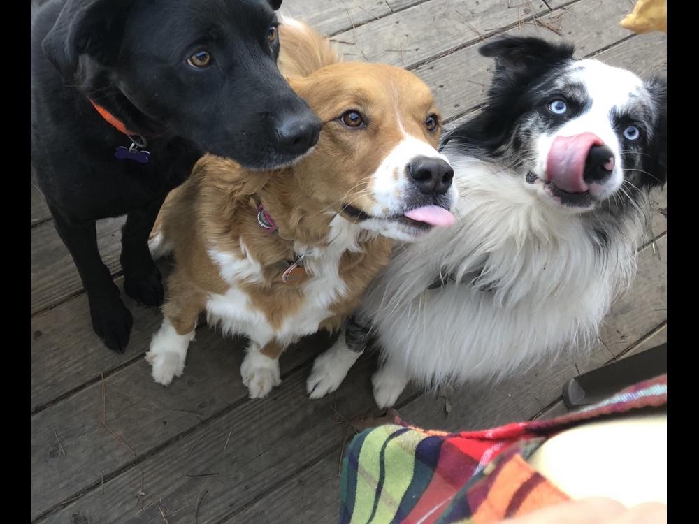 The Wedding Website of Kirby Brady and Bradly Rodriguez