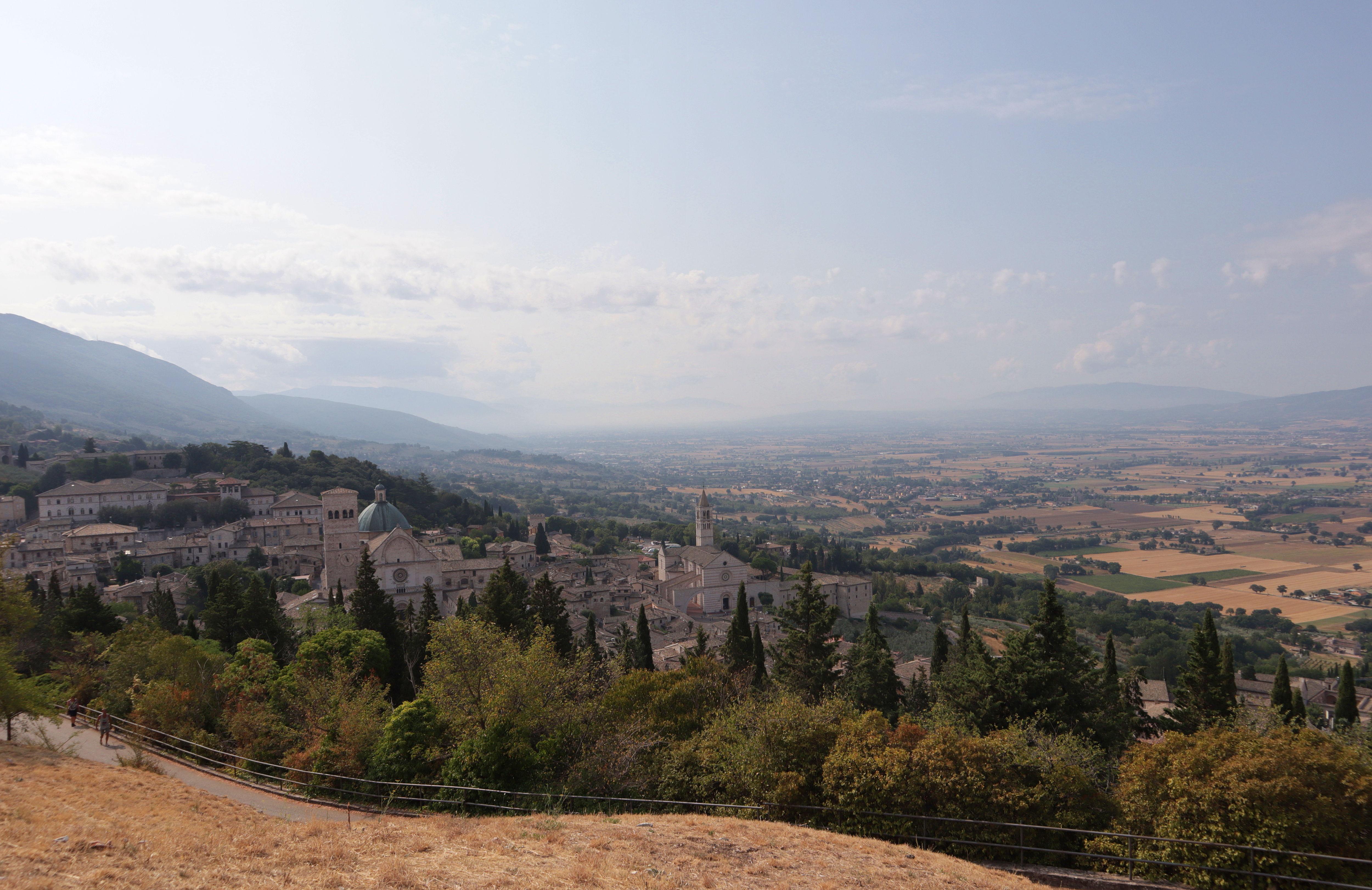 The Wedding Website of Stephen Loomis and Giulia Sgargetta