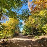 Picnic Point