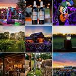 Barnhill Vineyards