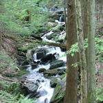 Waterfall Trail