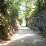 Tweetsie Trail
