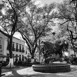 Jardín de las Rosas