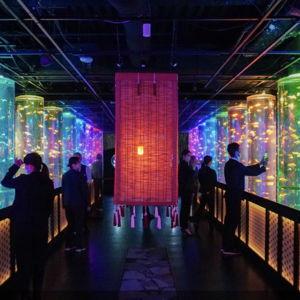 Art Aquarium in Ginza Tickets for 2