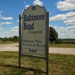 Baltimore Bend Vineyard