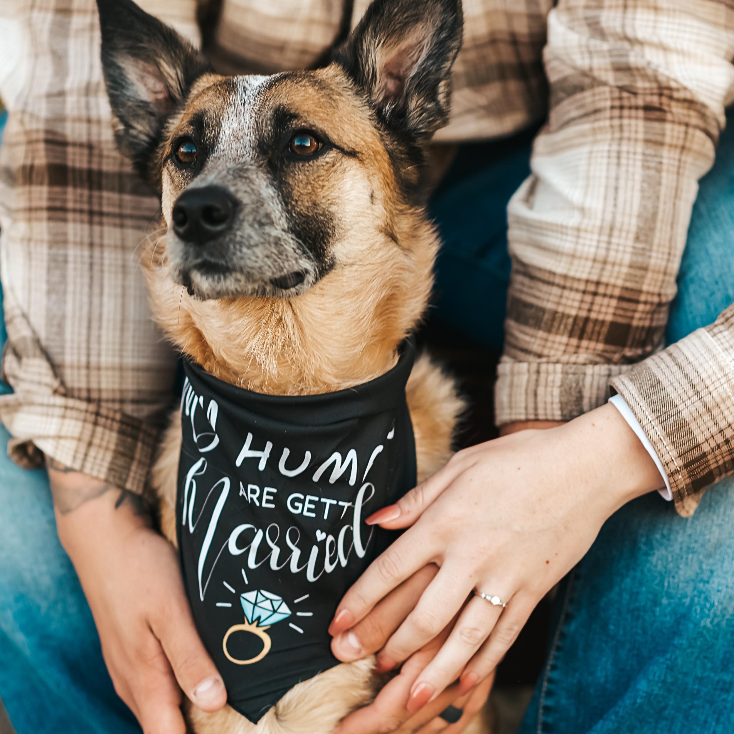 Hero Slideshow Image 2