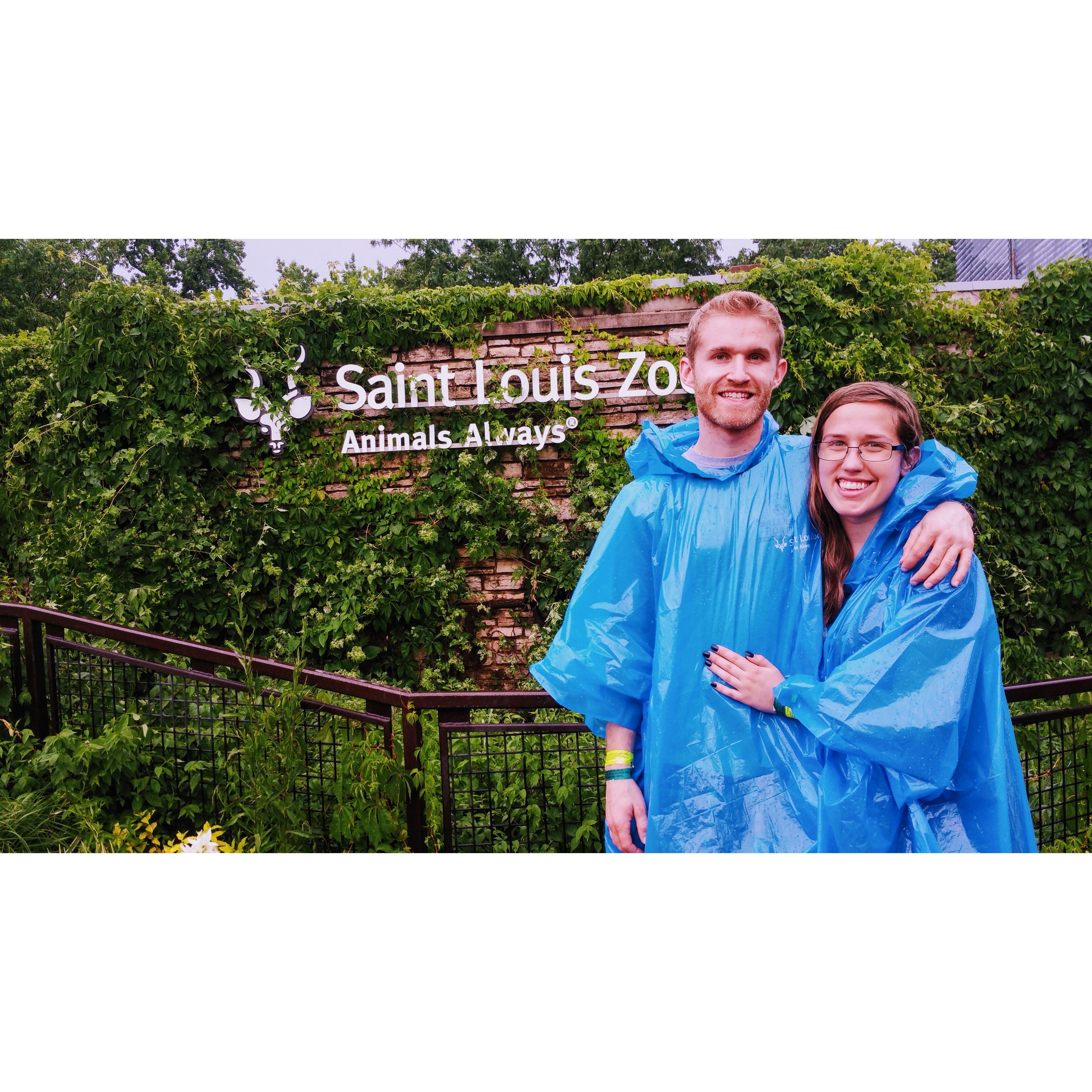 Jeremy's first time to the Midwest! It was pouring rain so hard at the Saint Louis Zoo that the power went out while we were in the reptile exhibit!
