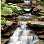 Inniswood Metro Gardens