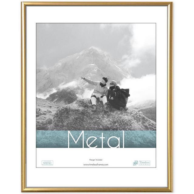 Timeless Frames 16" x 20" Metal Frame