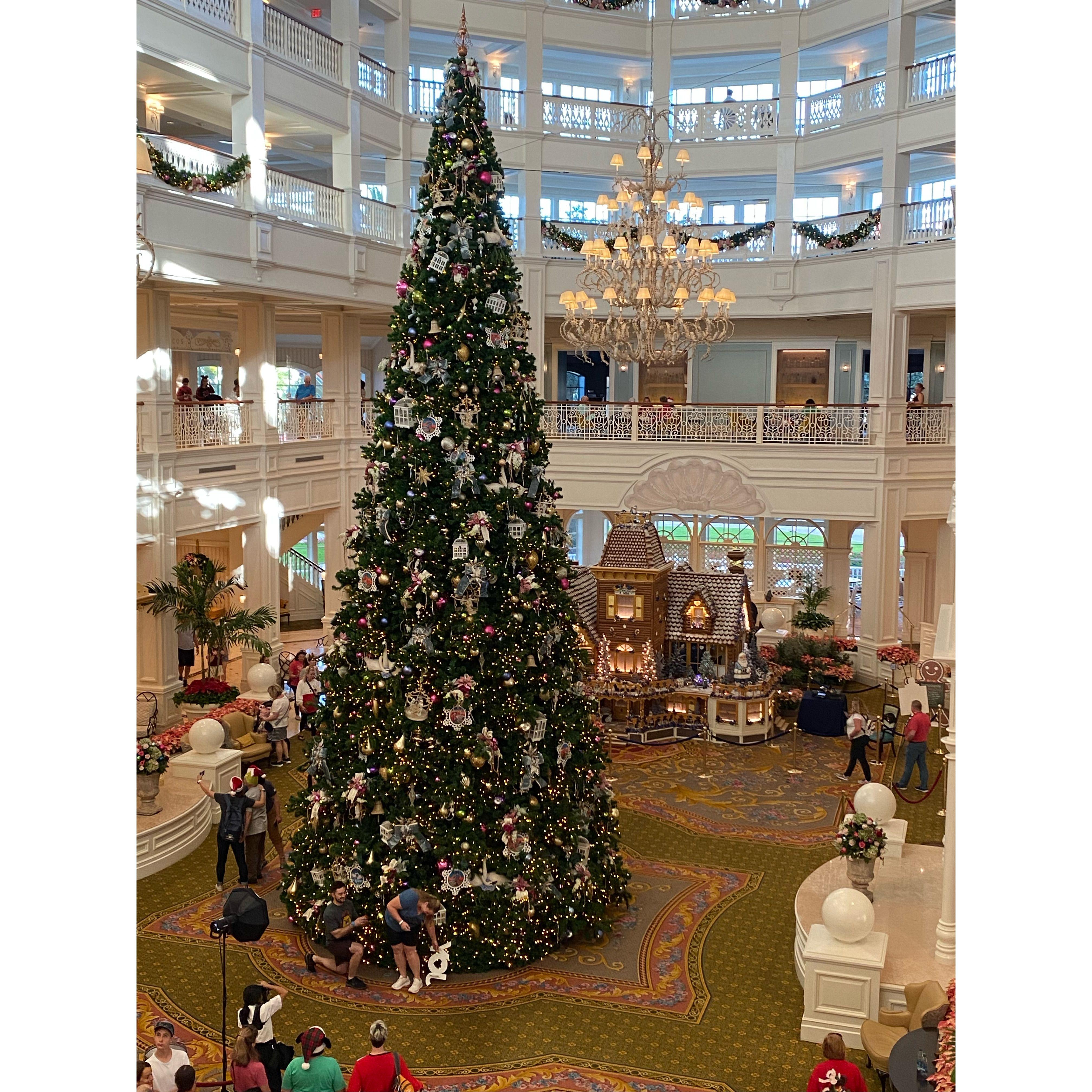 Grand Floridan Engagement caught from up above