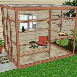 Cat space / catio building fund
