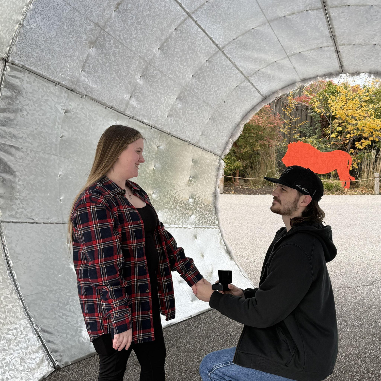 Engagement