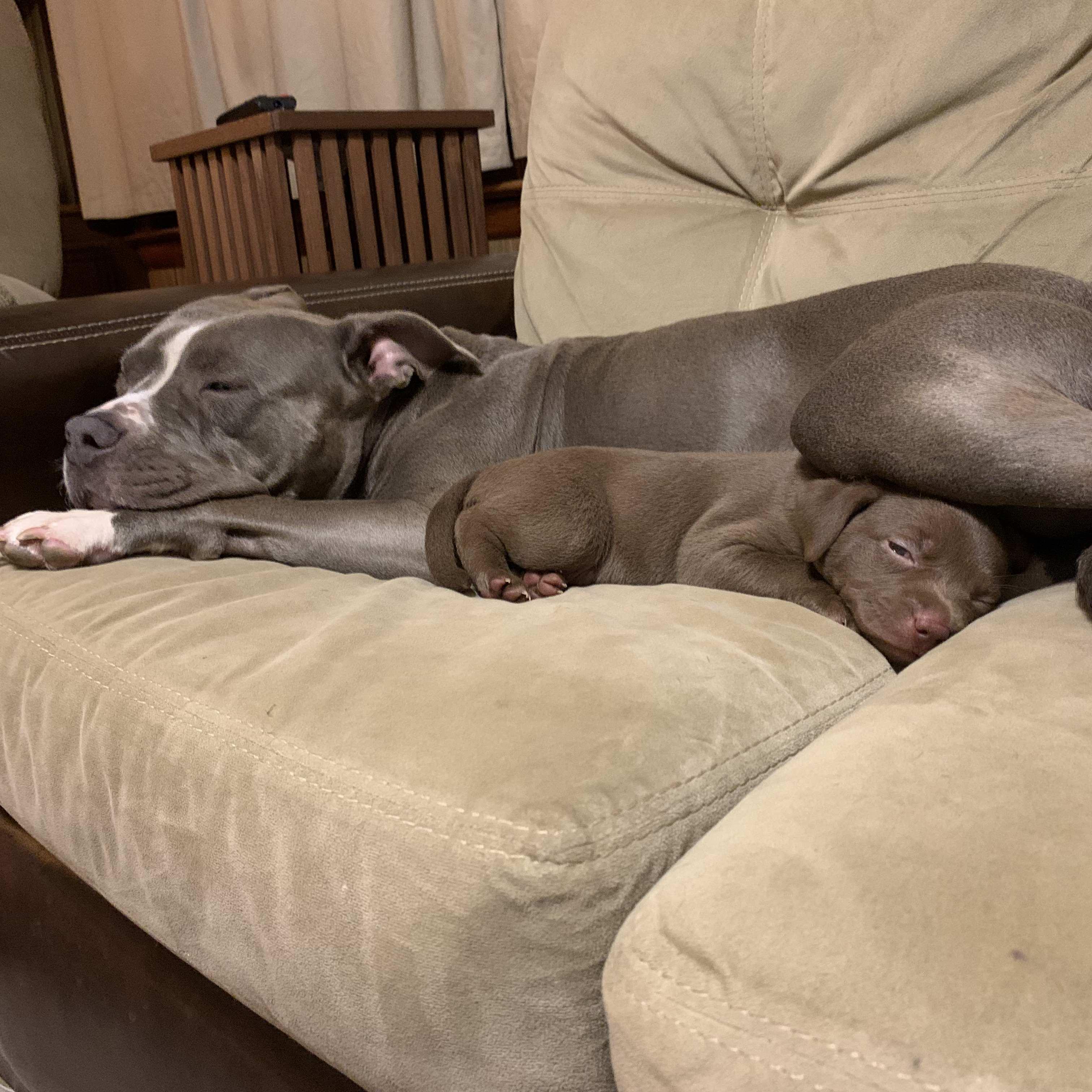 First sister cuddle. Aren't they just the sweetest.