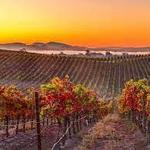 Napa Valley
