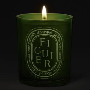 Figuier / Fig Tree | Medium Scented Candle | Diptyque Paris