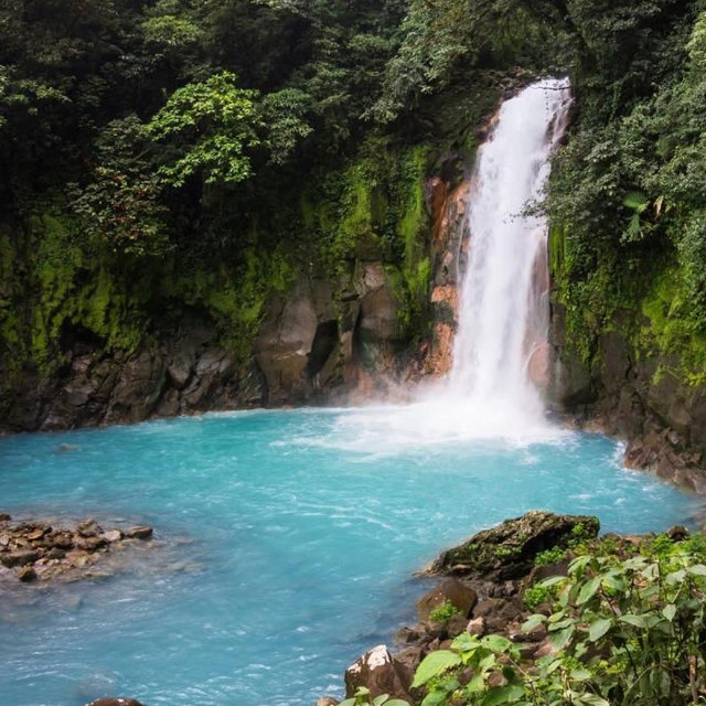 Honeymoon Excursions