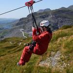 Zip World Fforest