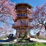 Patterson Park