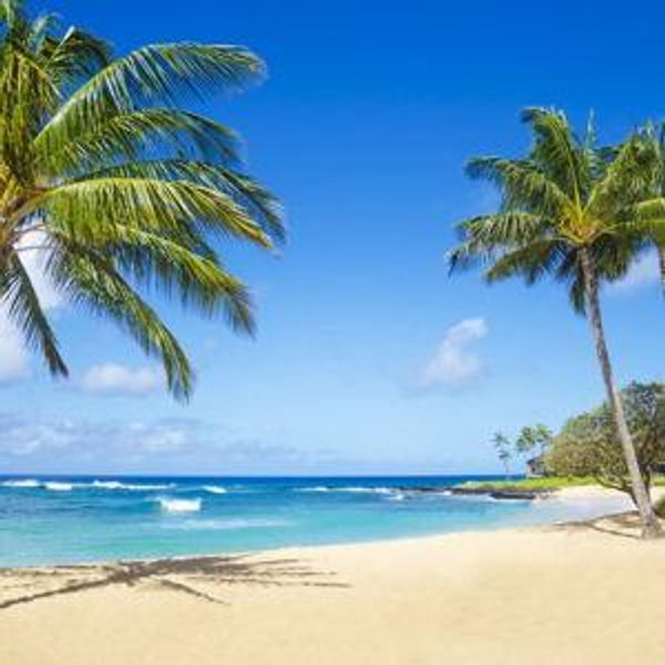 Honeymoon in Hawaii