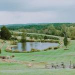 Stone Tower Winery