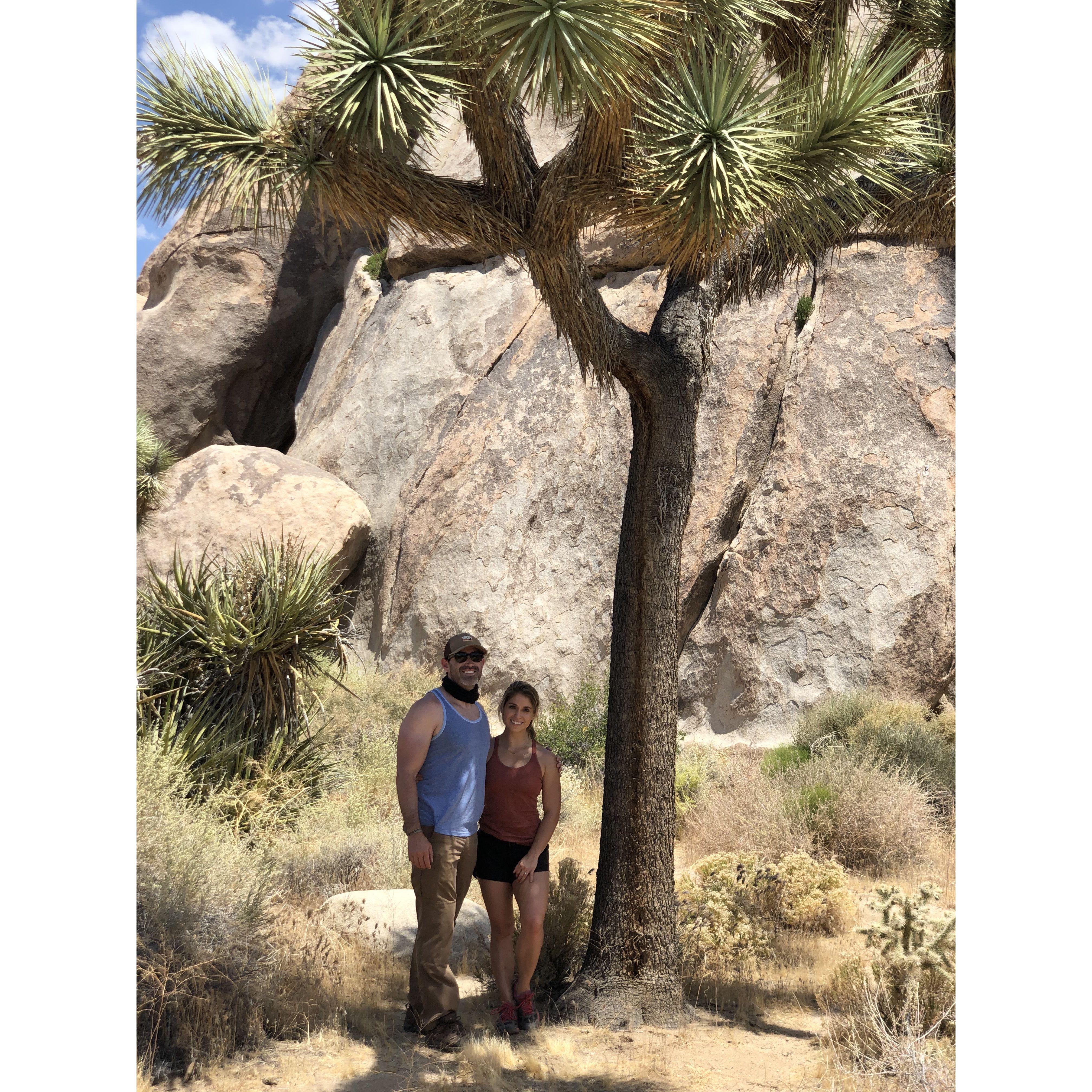 Joshua Tree