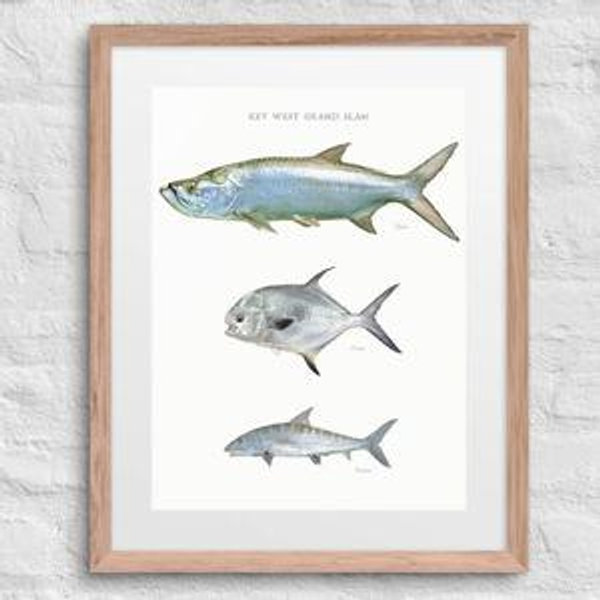 Saltwater Fish Art