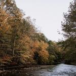 Wissahickon Valley Park
