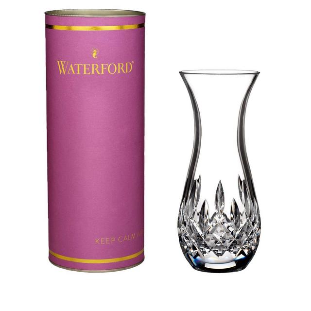 Giftology Lismore Sugar 6in Bud Vase