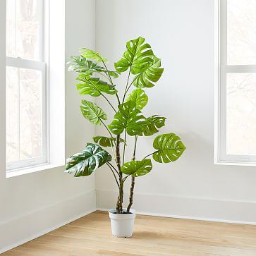 Faux Potted Monstera