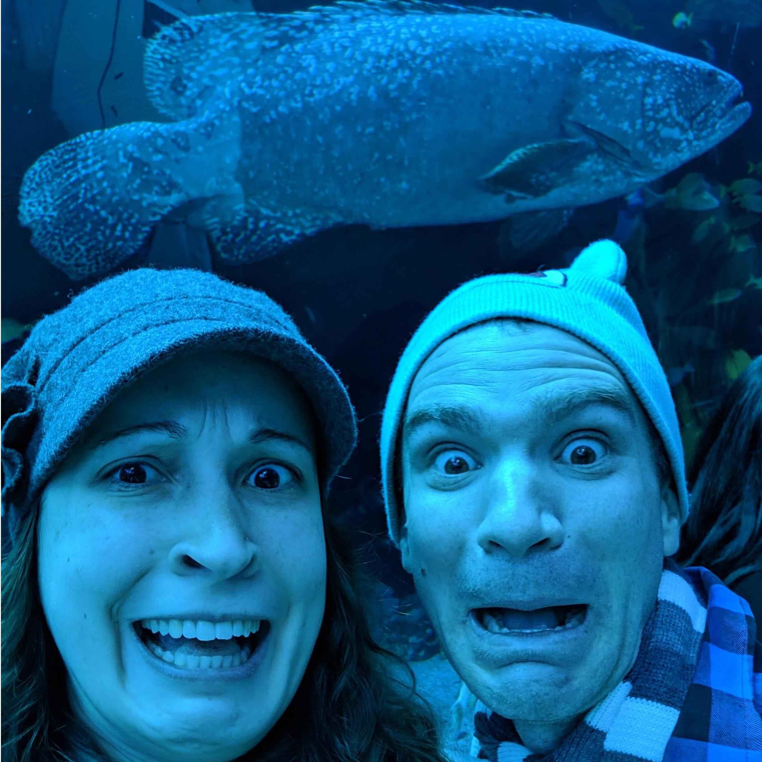 Scary fish at the Atlanta Aquarium!