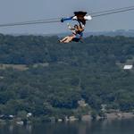 Soaring Eagle Zipline