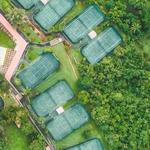 Tennis, Padel & Pickleball