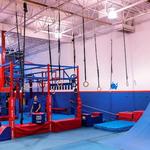 Conquer Ninja Gyms - Woodbury