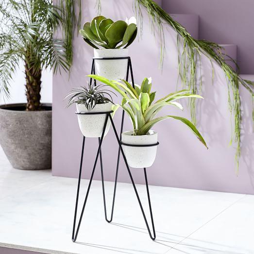 Iris Planter + Chevron Stand - Triple
