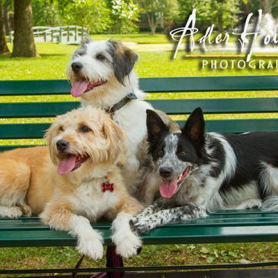 Our furry children!