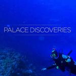 Moon Palace® Jamaica All Inclusive Resort, Tours