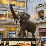 Smithsonian Museums & Galleries