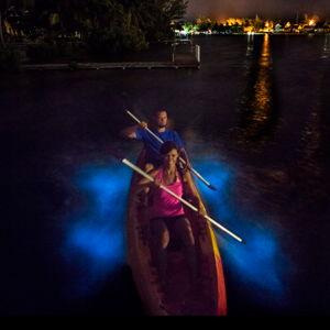 Bio Kayak | Cayman Kayaks