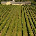 Bucks County Wine Trail