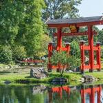 Jardin Japones