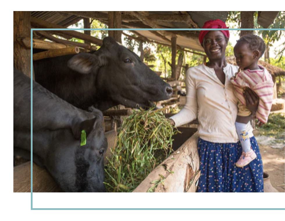 a7aef366-52d2-443a-8cc6-77798547520d