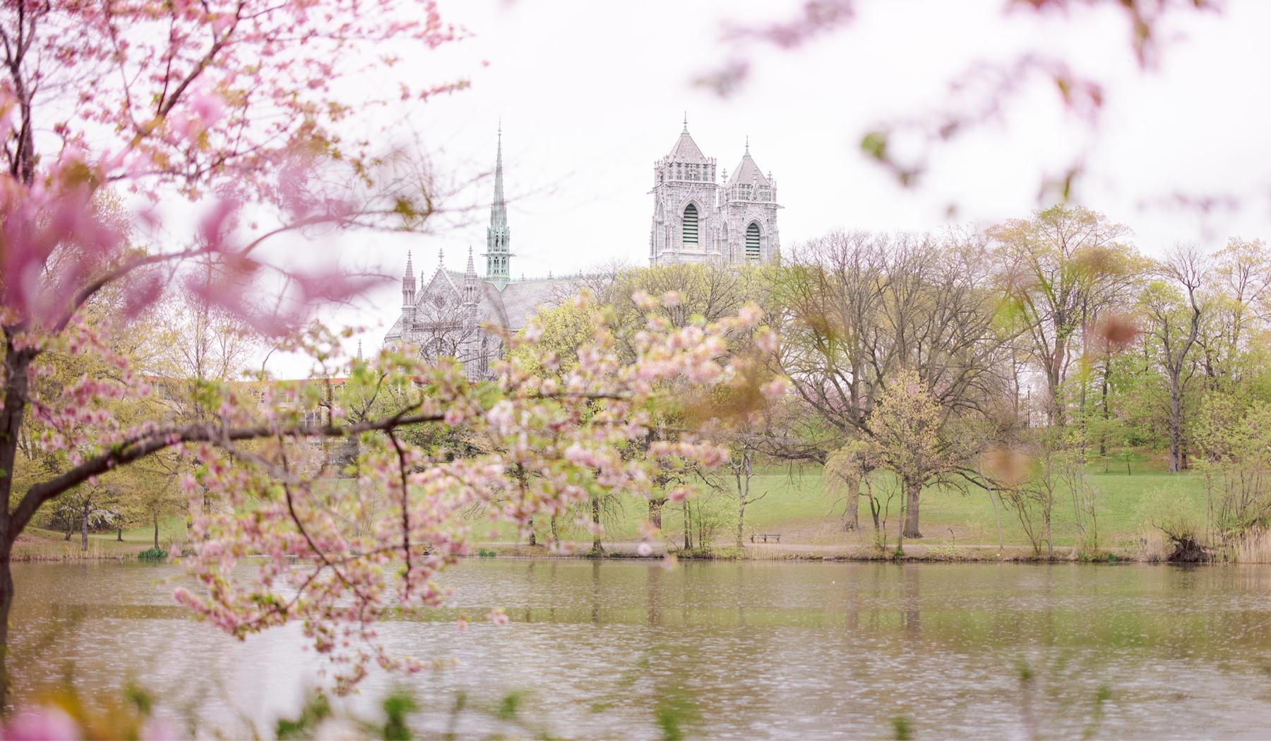 The Wedding Website of Chelsea Law and Leopoldo Suarez