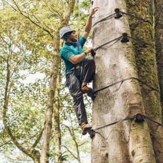 Arboreal Tree Climbing Park for 2 - Monteverde