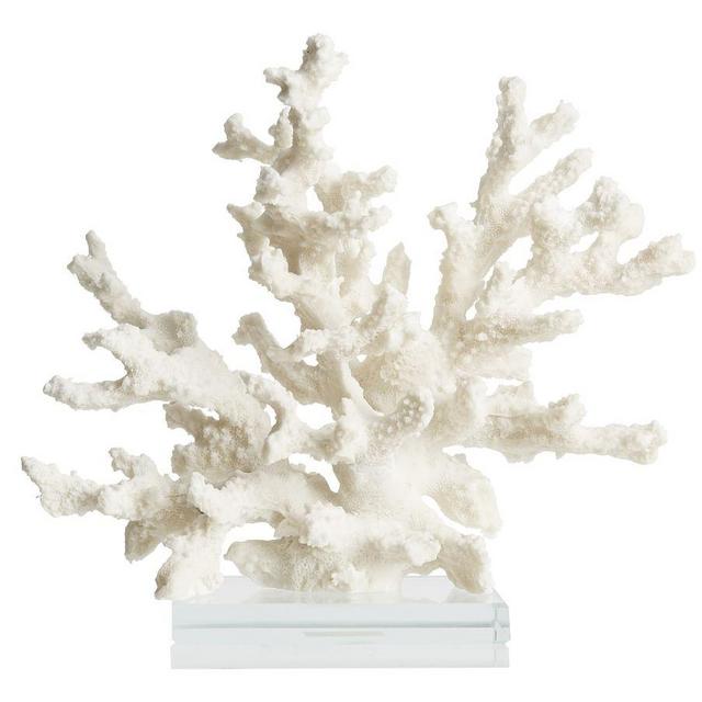 Branching Coral With Clear Glass Base Object