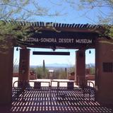 Arizona-Sonora Desert Museum