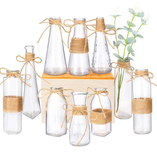 Nilos Glass Vases Set of 10, Clear Glass Flower Vase with Rope Design and Differing Unique Shapes for Home Decoration