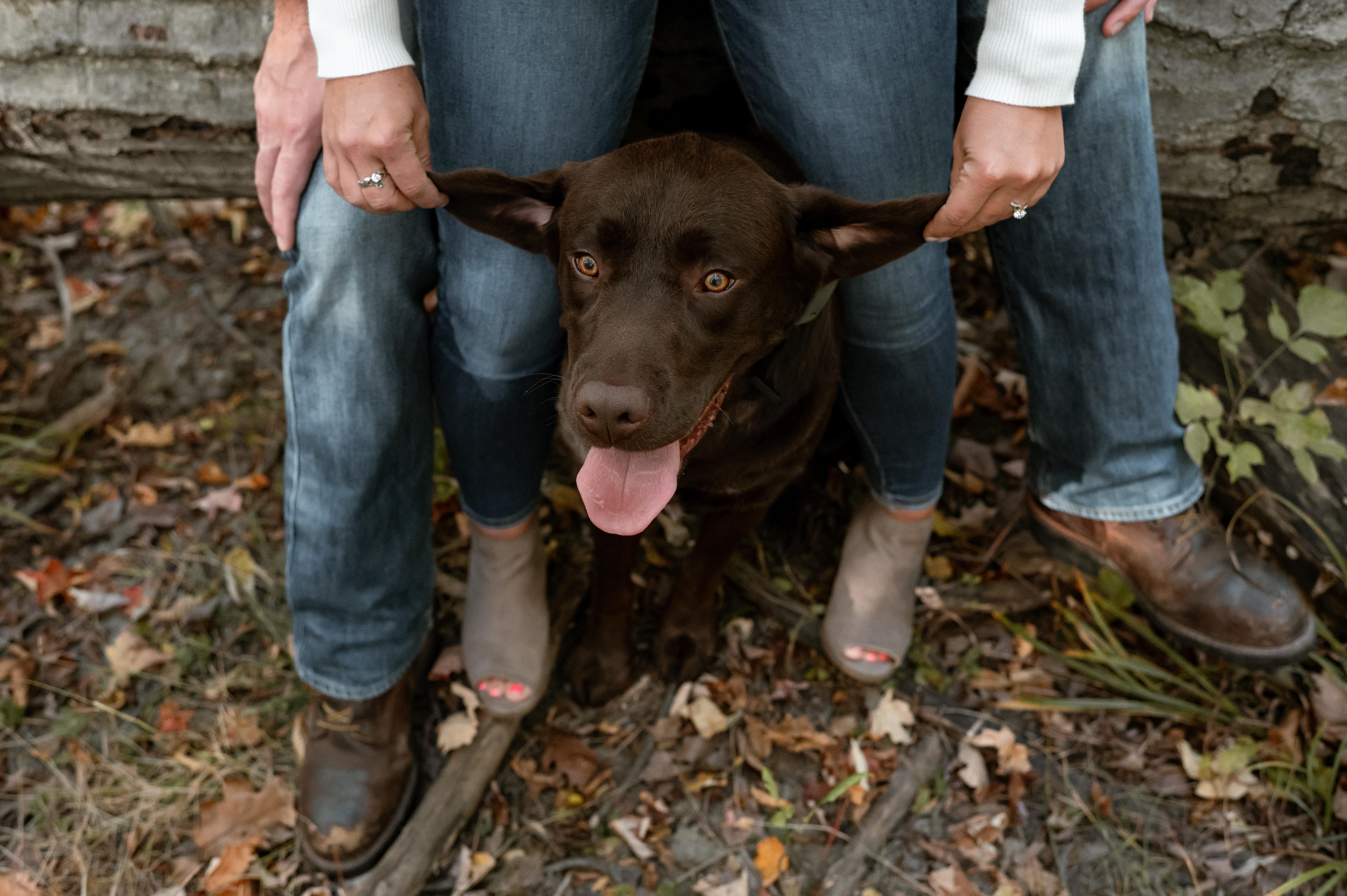The Wedding Website of Katie Hartung and Christopher Szematowicz