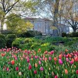 Cheekwood Botanical Gardens & Estate