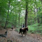Westchester Trail Rides