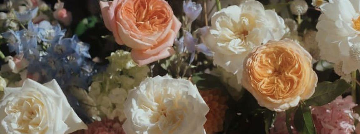 The Wedding Website of Veronica Solorzano and Louie Macri